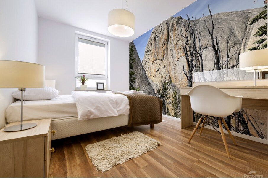 Craggs Mural print