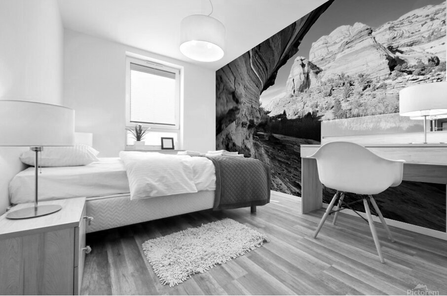 Wedge BW Mural print