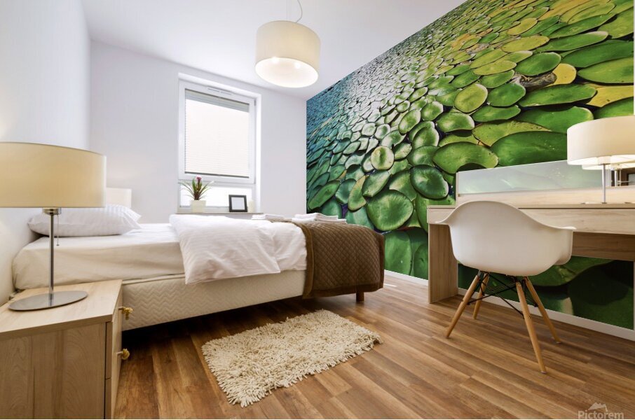 Lilly Pads Mural print