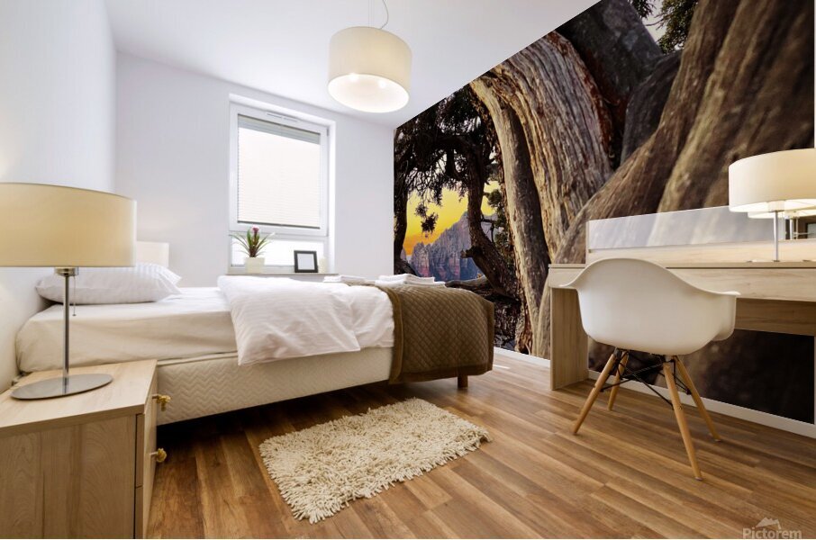 Sedona Views Mural print