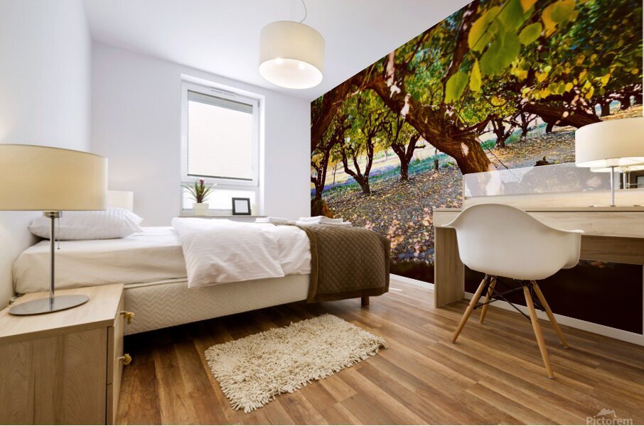 Apple Orchard Mural print