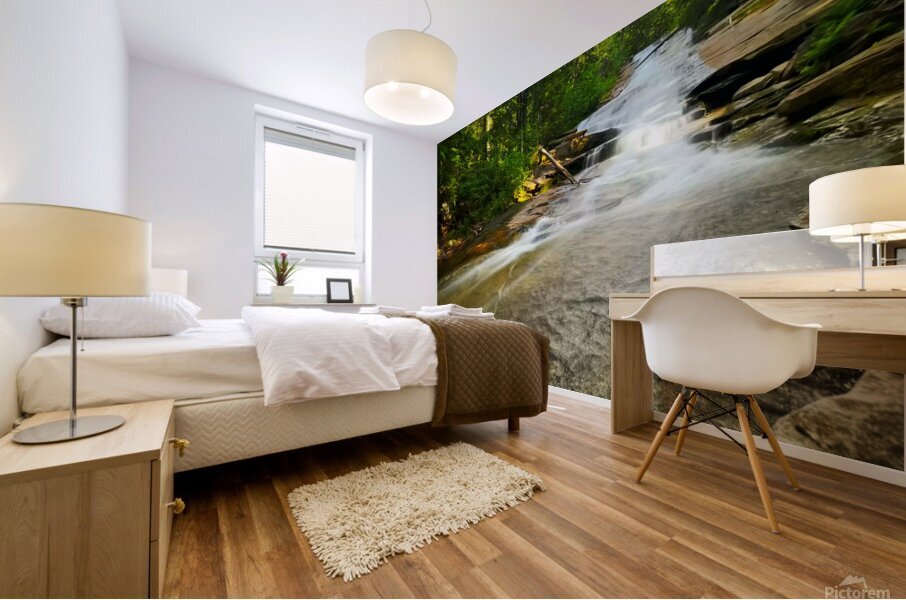 Idaho Slides Mural print