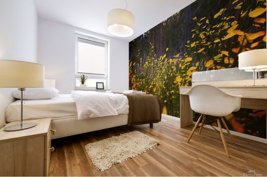 Almost Fireflies Mural print
