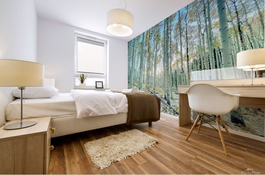See Through Mural print