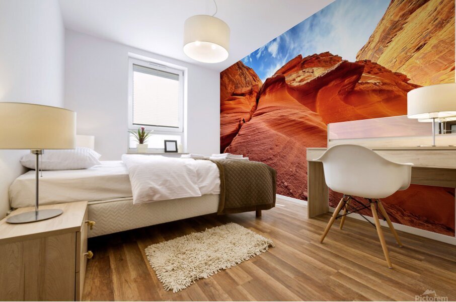 5B6703AA CEA0 44D7 A5D3 D98E99FB07CD Mural print