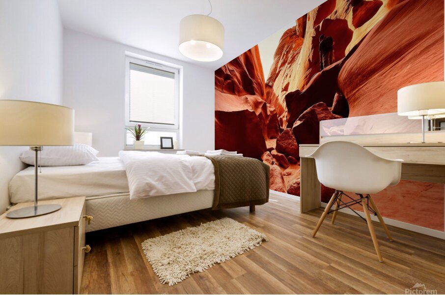 Stepping Stones Mural print