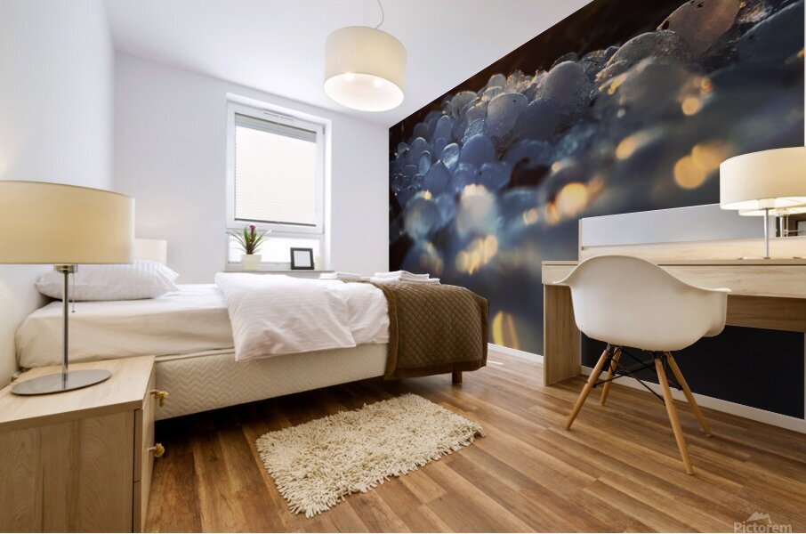 Fire and Ice Mural print