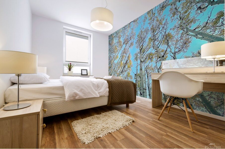 Aspire Mural print