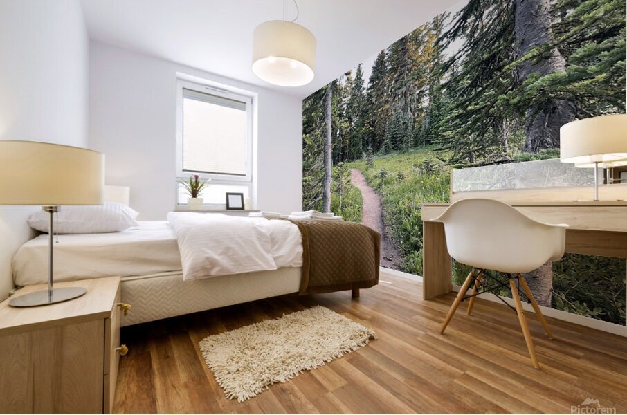 Paths Mural print