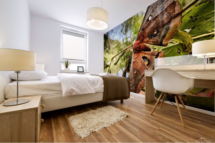 Moth Mural print