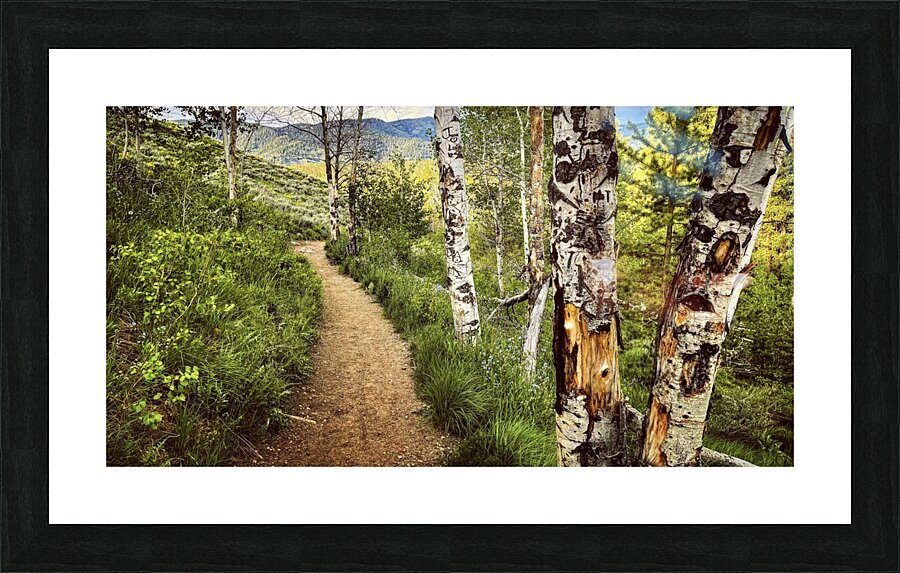 Out There Picture Frame print