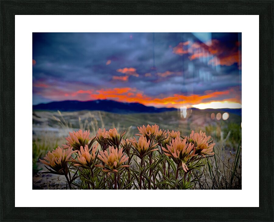 Salmon Spring Picture Frame print