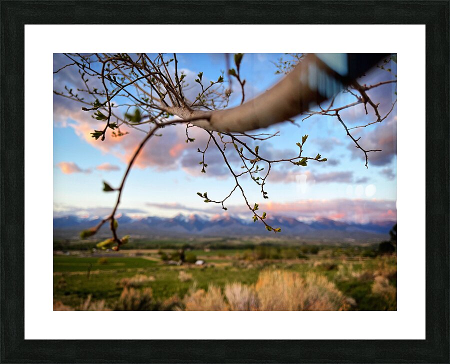 Hello Spring Picture Frame print