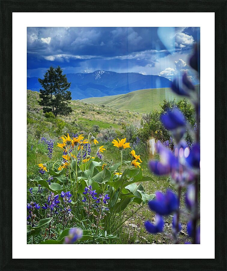 When Things Bloom Picture Frame print