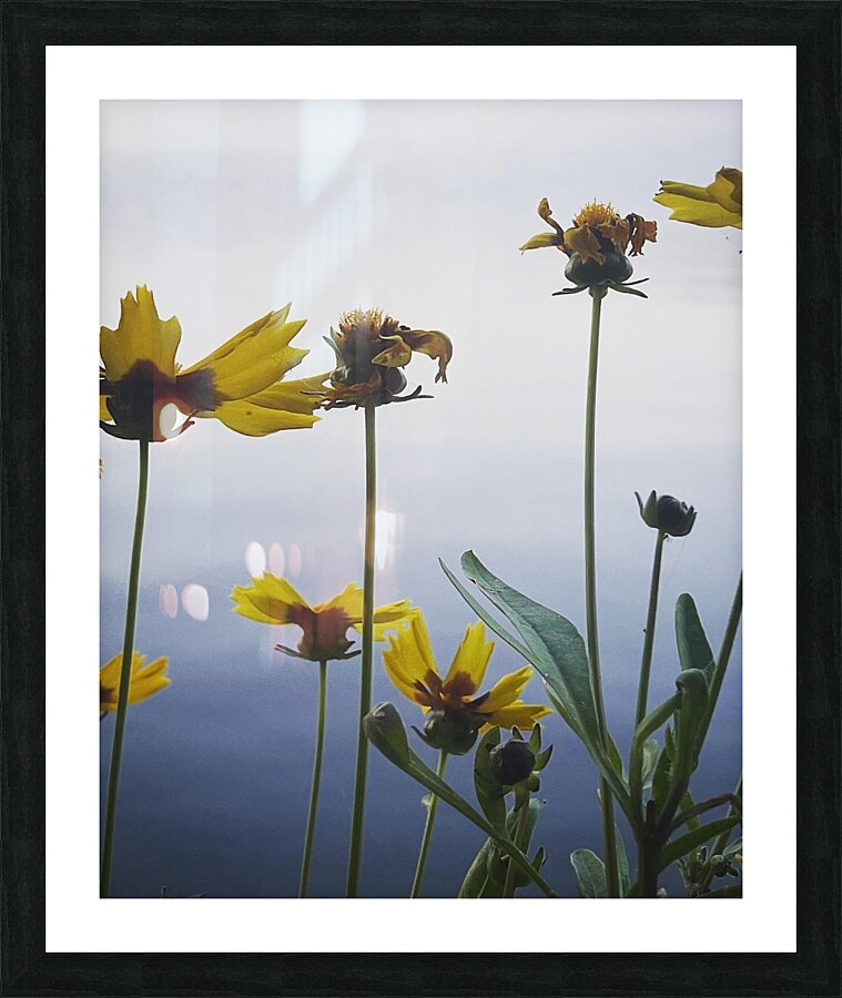 LChaim Picture Frame print