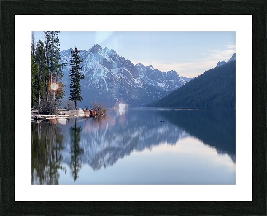 Lone Tree Picture Frame print