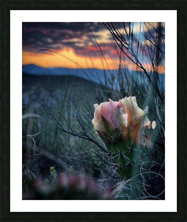 Thorny Things Picture Frame print