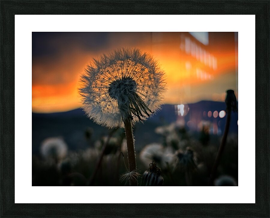 Orbit Picture Frame print