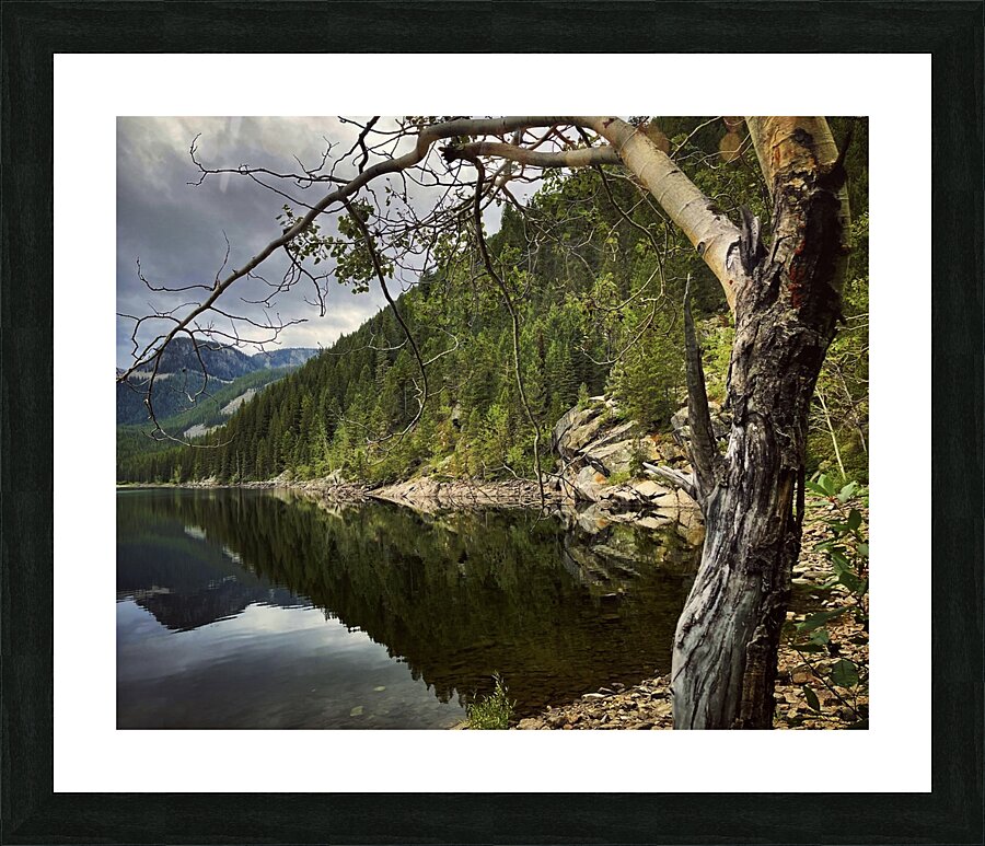 Magic Picture Frame print