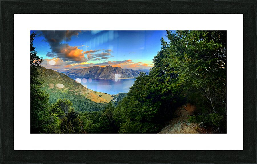 Peaking Through Picture Frame print