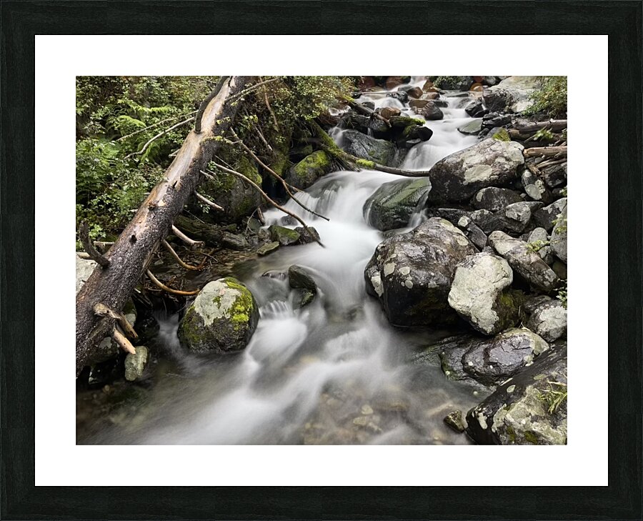 Rolling Picture Frame print