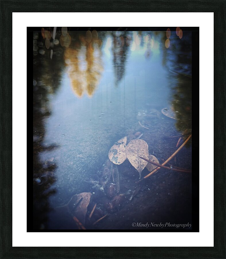Lost or Found Picture Frame print