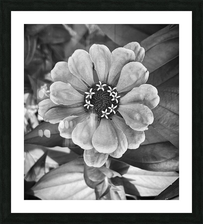 Happiest BW Picture Frame print