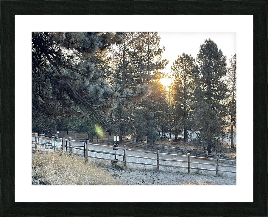 Idahome morning Picture Frame print