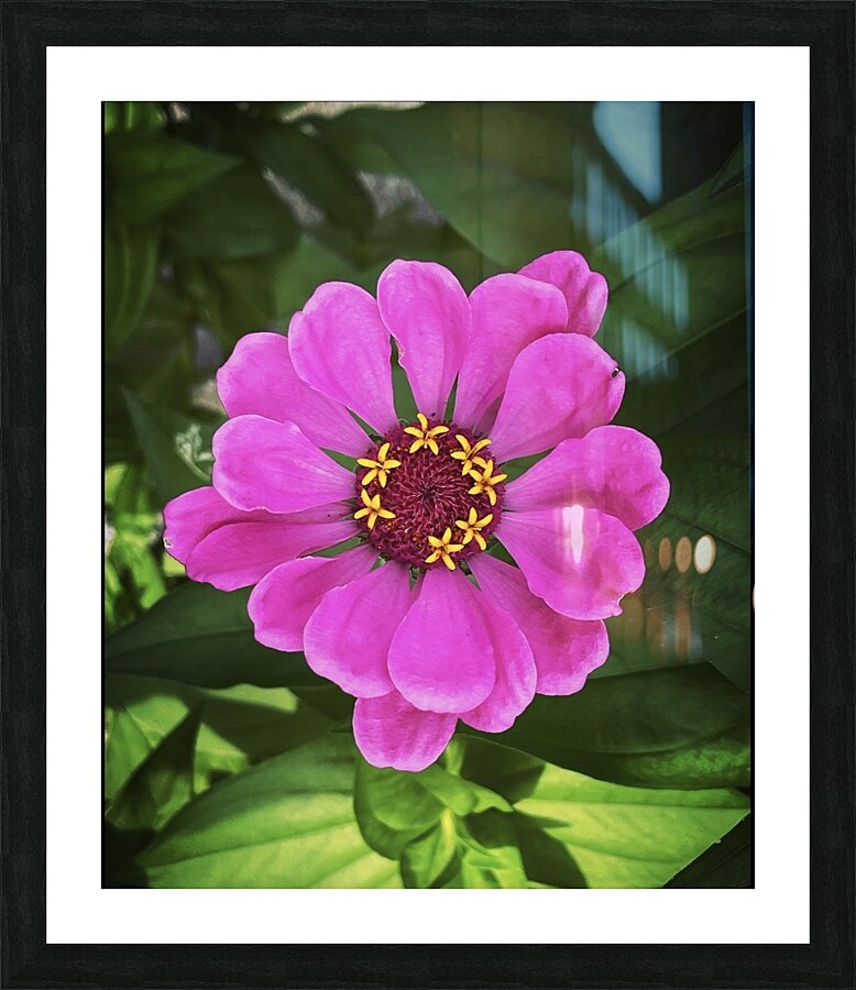 Happiest Picture Frame print