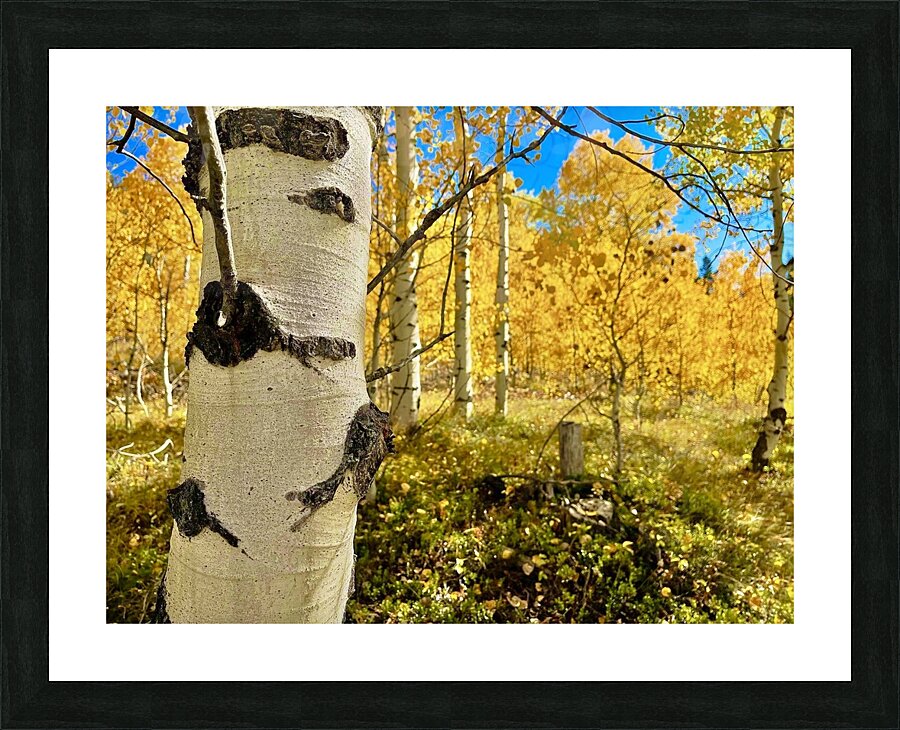 Aspen Hello Picture Frame print