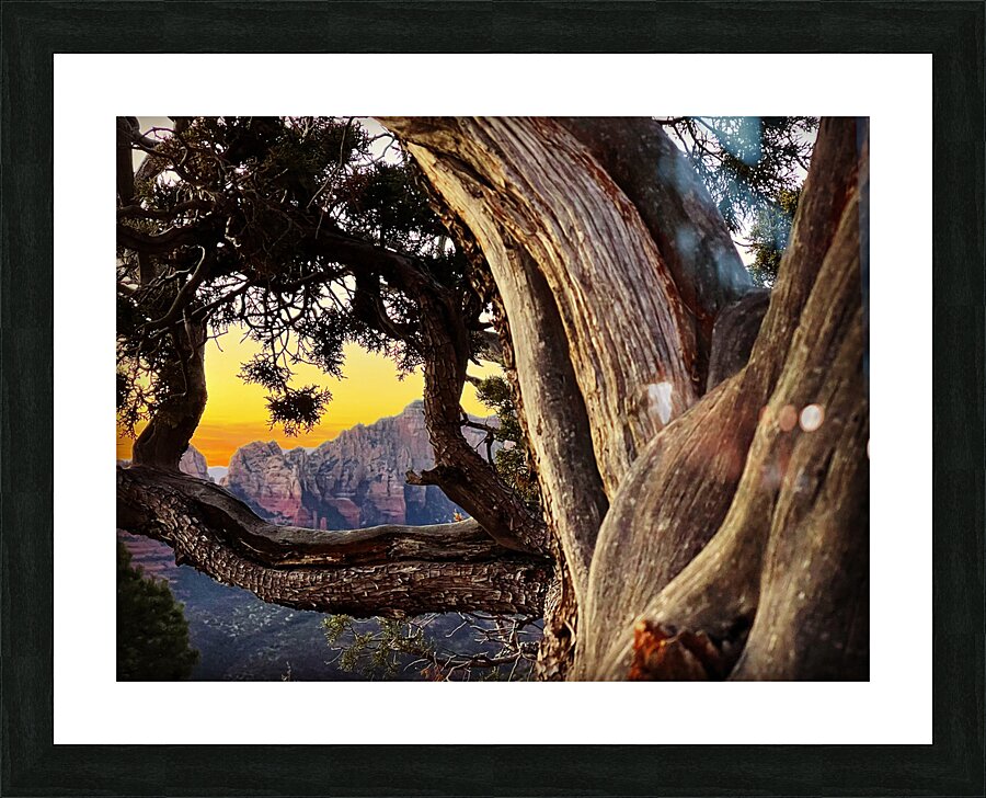 Sedona Views Picture Frame print