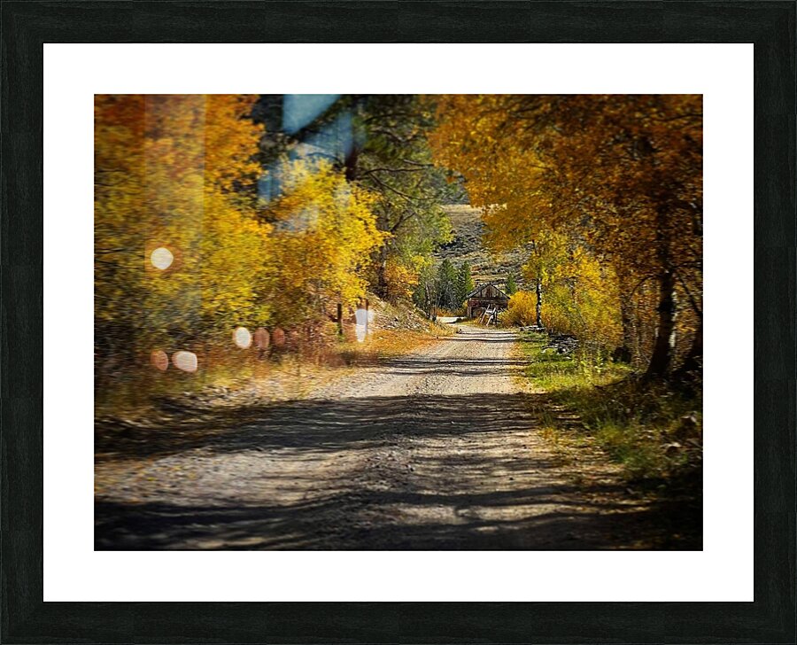 Backroads Picture Frame print