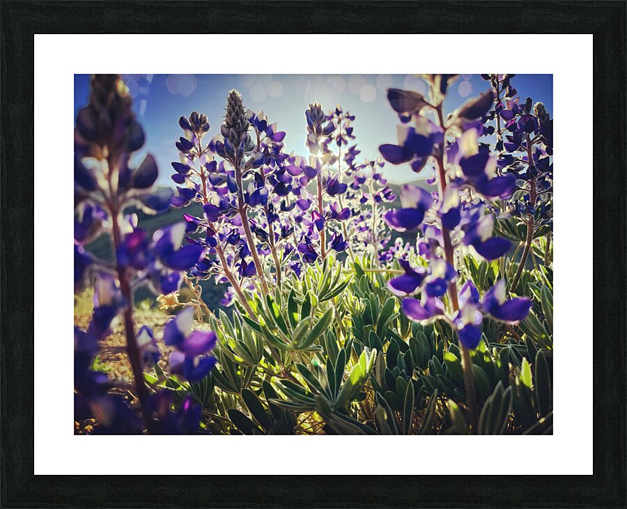 Purple Friends Picture Frame print