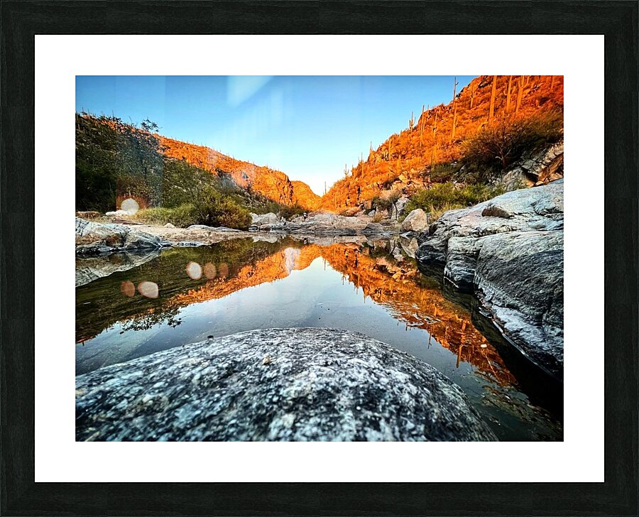 butterfly Picture Frame print