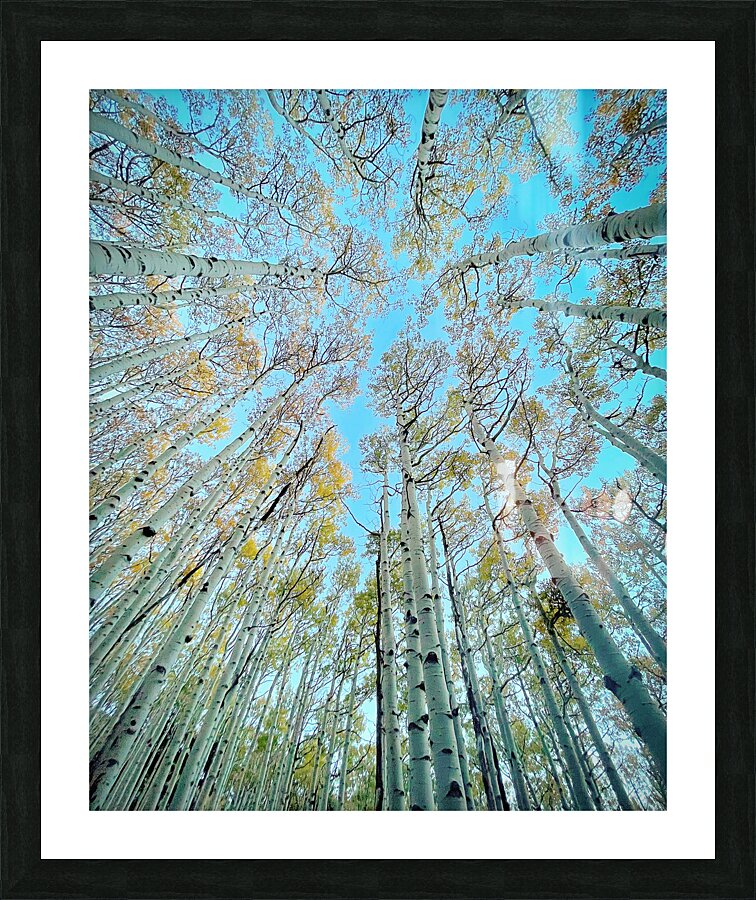 Aspire Picture Frame print