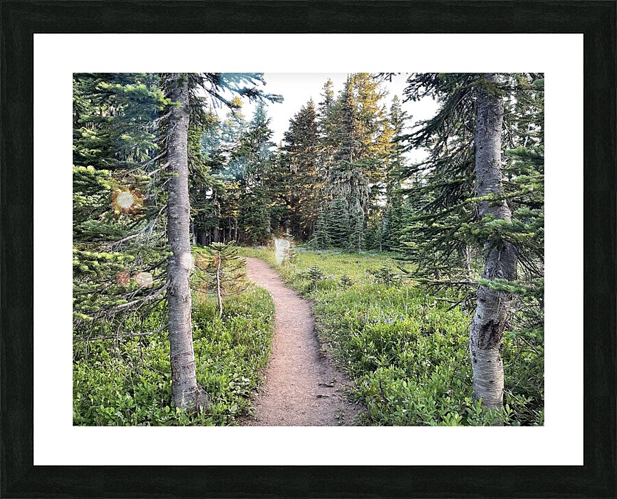 Paths Picture Frame print