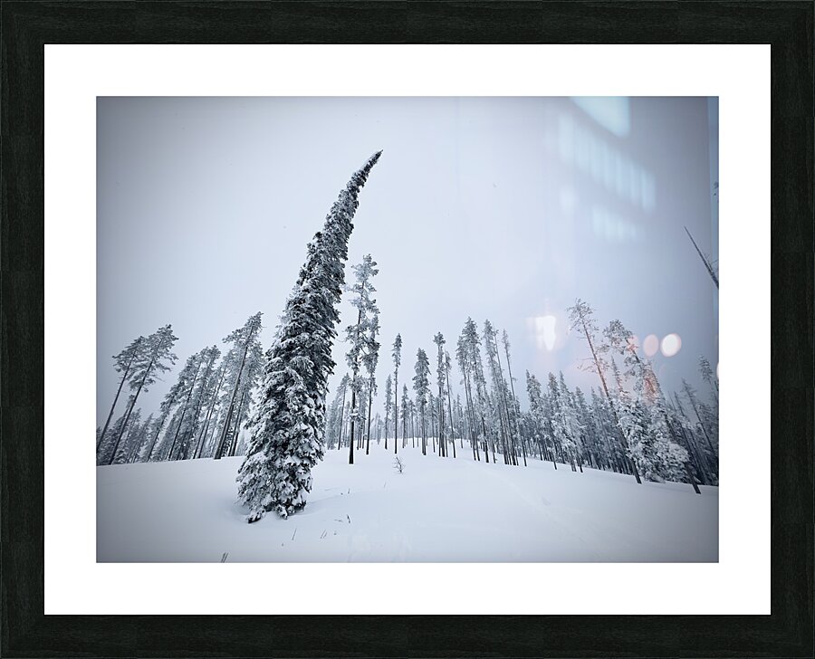 Sway Factor Picture Frame print