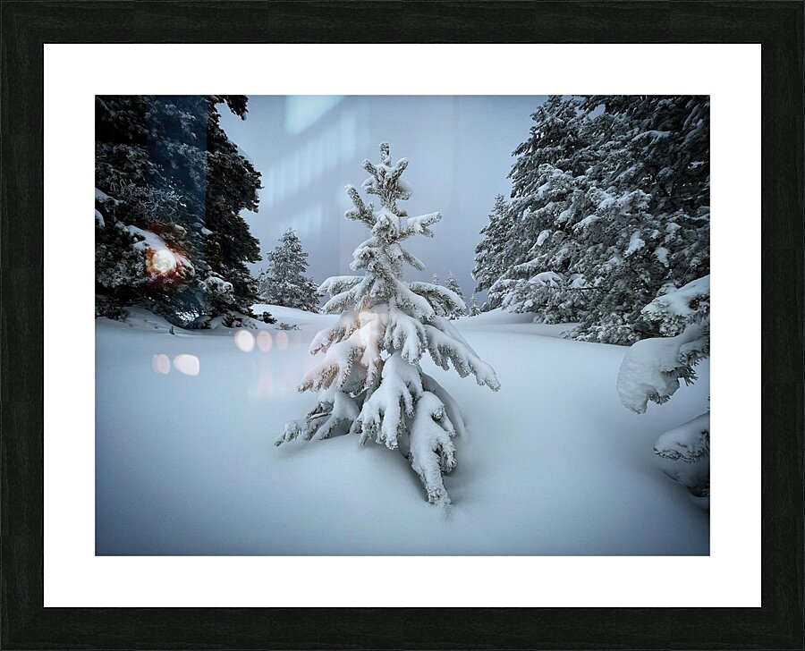 Spotlight Picture Frame print