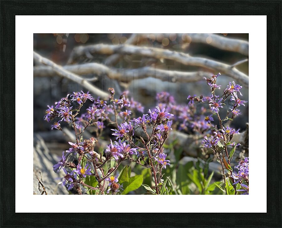 support system Picture Frame print