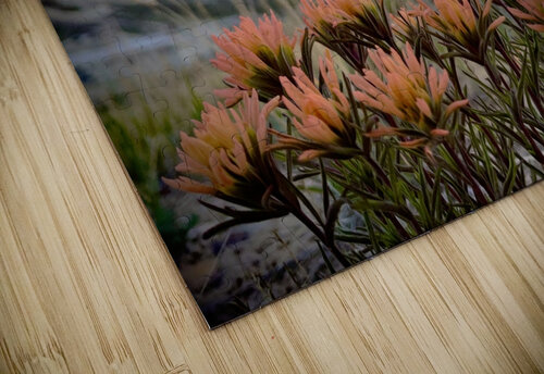 Salmon Spring Mindy Newby puzzle