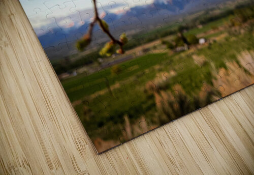 Hello Spring Mindy Newby puzzle