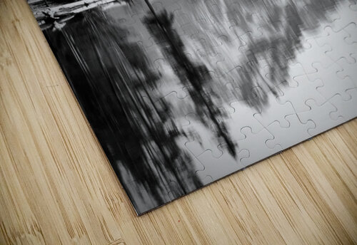 Lone Tree BW Mindy Newby puzzle