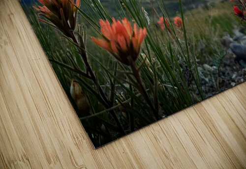 Little Things Mindy Newby puzzle