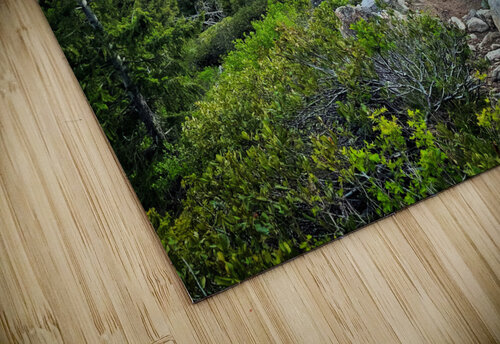 Have a Day Mindy Newby puzzle