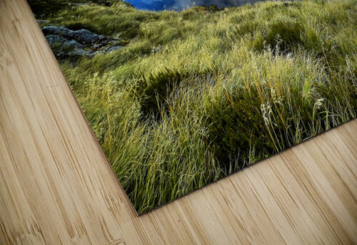 Blue and Gold Mindy Newby puzzle