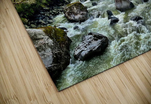River Raw Mindy Newby puzzle