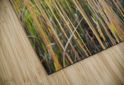 Glow Sticks Mindy Newby puzzle
