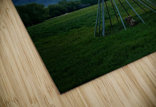 Teepee Bird Mindy Newby puzzle