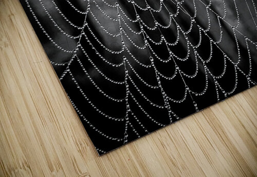 Spide Web Mindy Newby puzzle