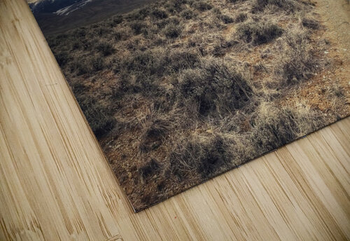 Life Road 2 Mindy Newby puzzle